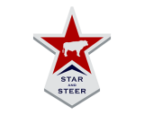 /public/logoimage/1602862278Star and Steer .png